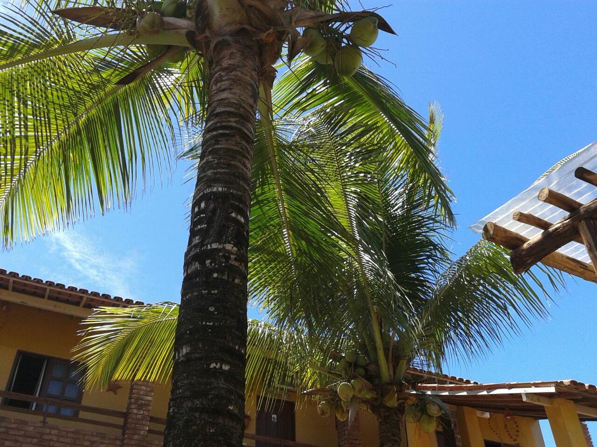 Pousada Agua De Coco برادو المظهر الخارجي الصورة